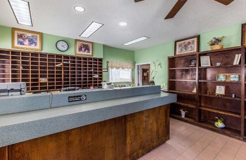 Windsor Forest Hotel | Suburban Studios Abercorn