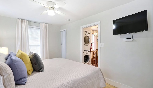 Gallery Stays - Pop Collection