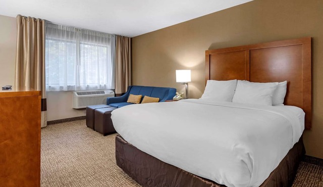 Comfort Inn & Suites Montpelier-Berlin