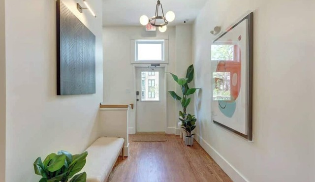 Savannah Moss @ The Huntingdon Lofts Collection